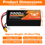Newyenk 6S 5000mAh 50C Lipo Battery with EC5